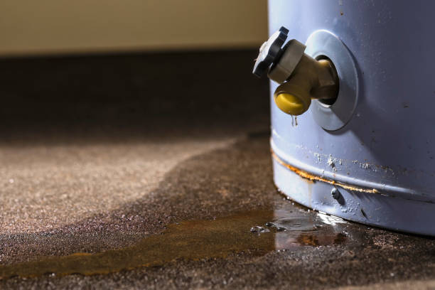 Best Water damage restoration near me  in Big Timber, MT