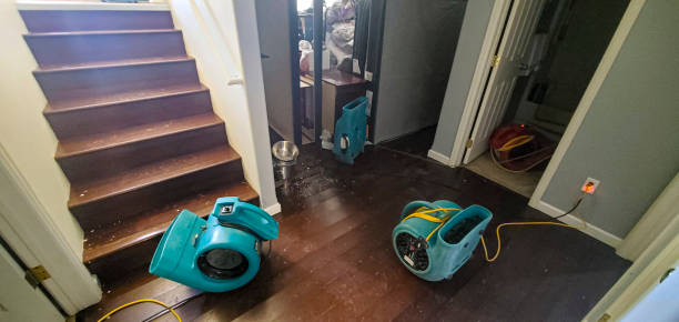 Best Local water damage restoration  in Big Timber, MT