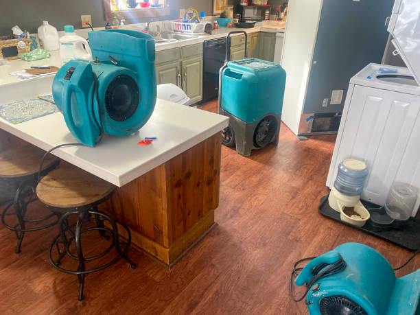 Best Professional water damage repair  in Big Timber, MT