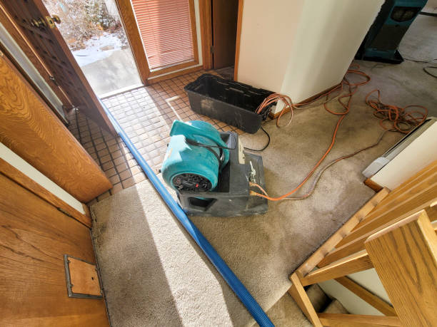 Best Mold removal after water damage  in Big Timber, MT