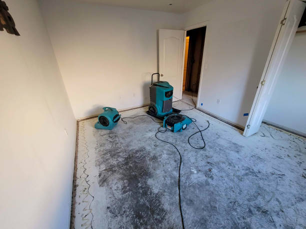Best Water damage restoration experts  in Big Timber, MT
