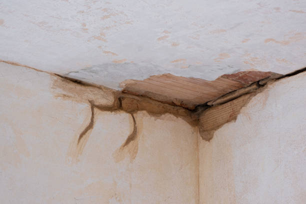 Best Ceiling water damage repair  in Big Timber, MT