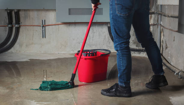 Trusted MT Water damage restoration Experts