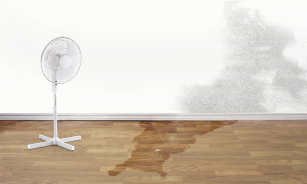 Best Commercial water damage restoration  in Big Timber, MT