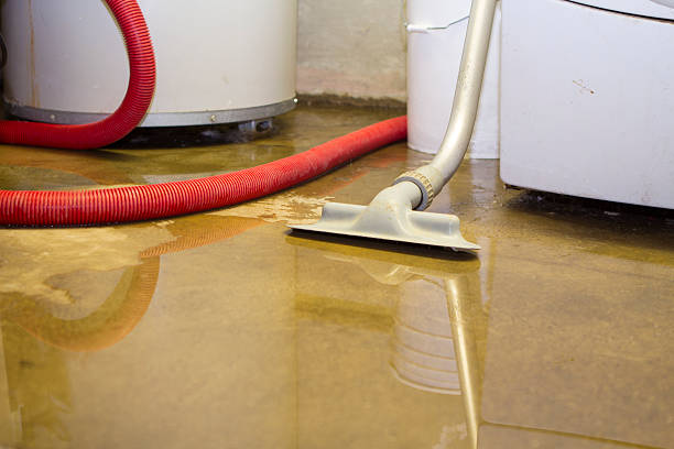 Water damage restoration experts in MT