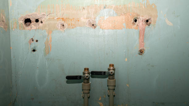 Best Water damage restoration near me  in Big Timber, MT