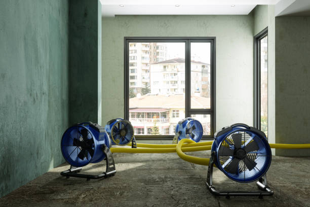 Best Residential water damage restoration  in Big Timber, MT